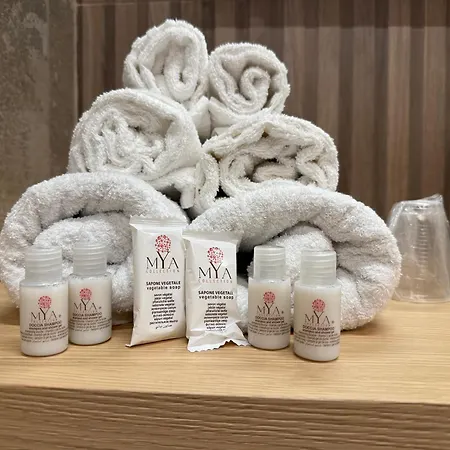 Ludoga Luxury לינה וארוחת בוקר טרביסאצ'ה