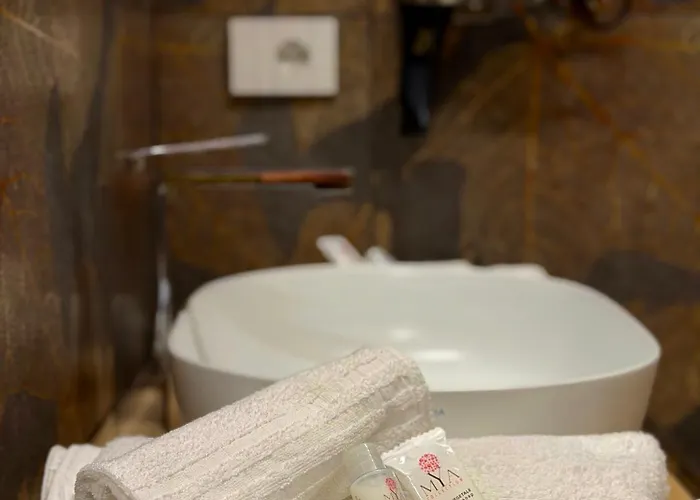 לינה וארוחת בוקר Ludoga Luxury טרביסאצ'ה